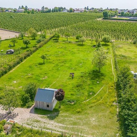 Unique Hideaway, Holiday House With Large Garden Kortenaken Exteriér fotografie