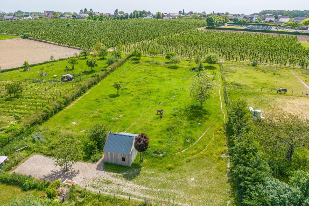 Unique Hideaway, Holiday House With Large Garden Kortenaken Exteriér fotografie